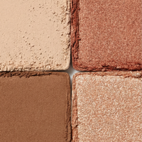 Perfect Multi Palette - NEW!