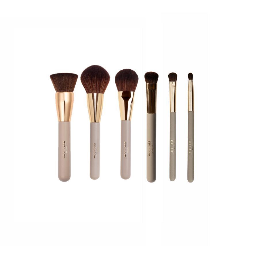 Full Face Brush Kit