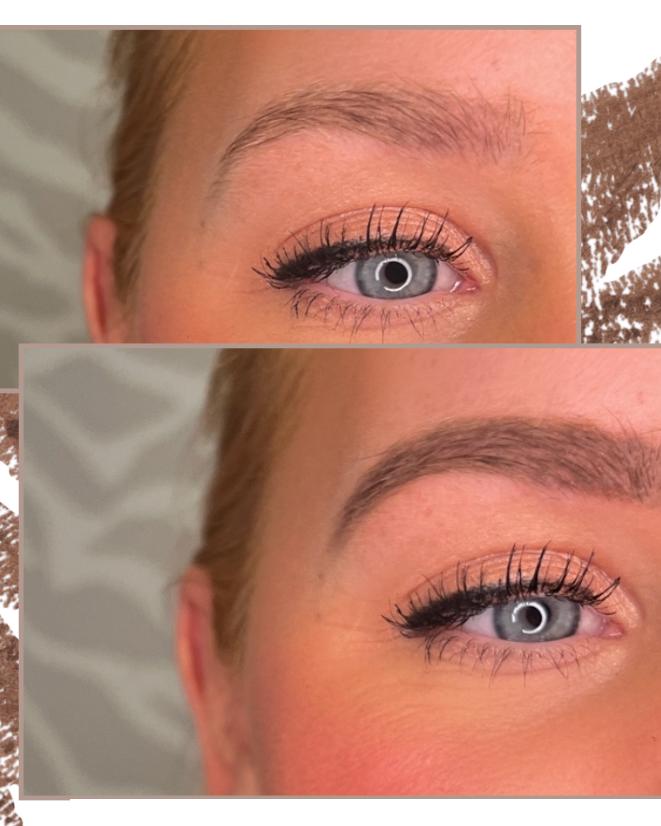 The Brow Kit - Light