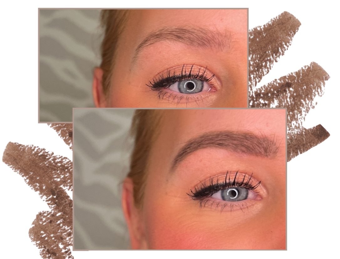 The Brow Kit - Light