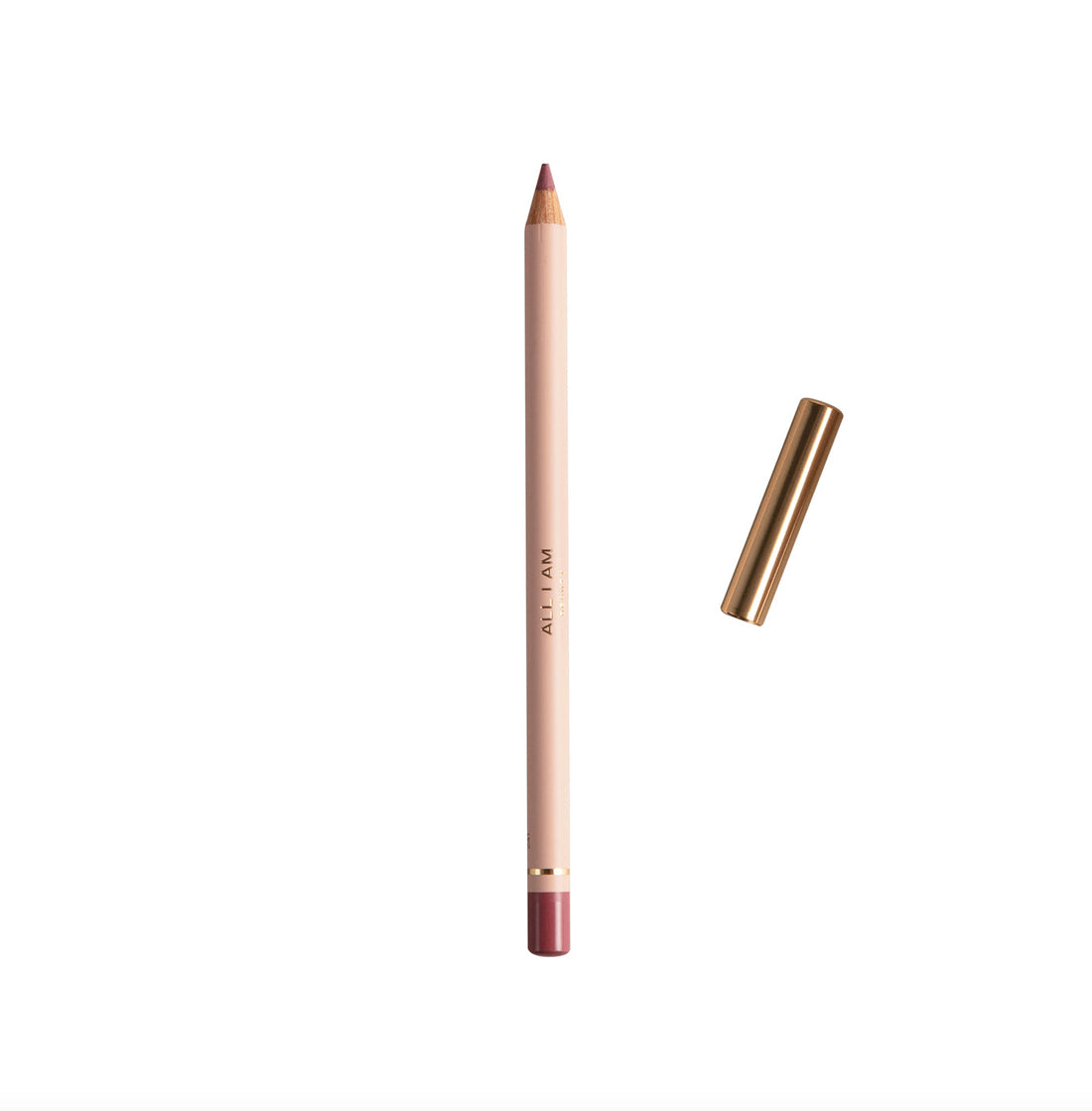 Duo of Berry Boost Lipgloss & Deep Nude Perfect Lip Pencil
